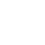 ELECTRIC VTC