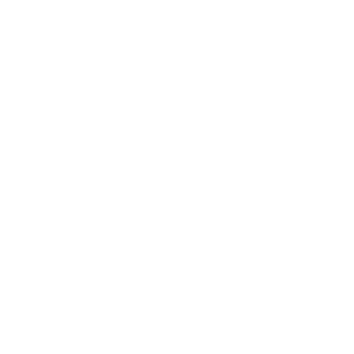 ELECTRIC VTC